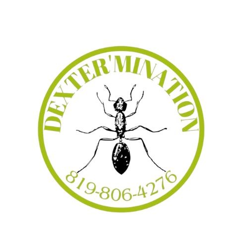 Logo DEXTER'MINATION