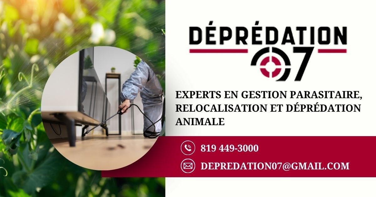 Bannière DÉPRÉDATION 07