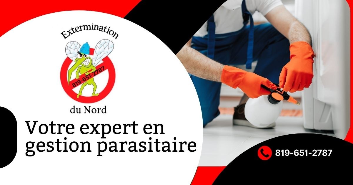 Bannière EXTERMINATION DU NORD